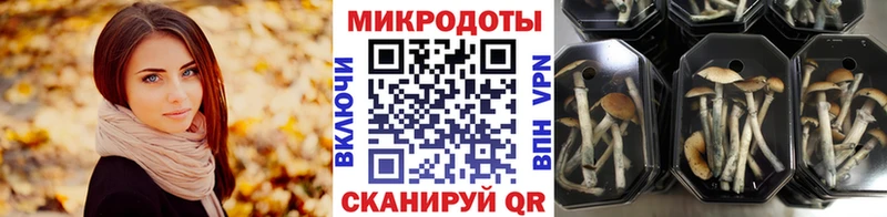 Купить закладки  Зверево  Псилоцибиновые грибы ЛСД 